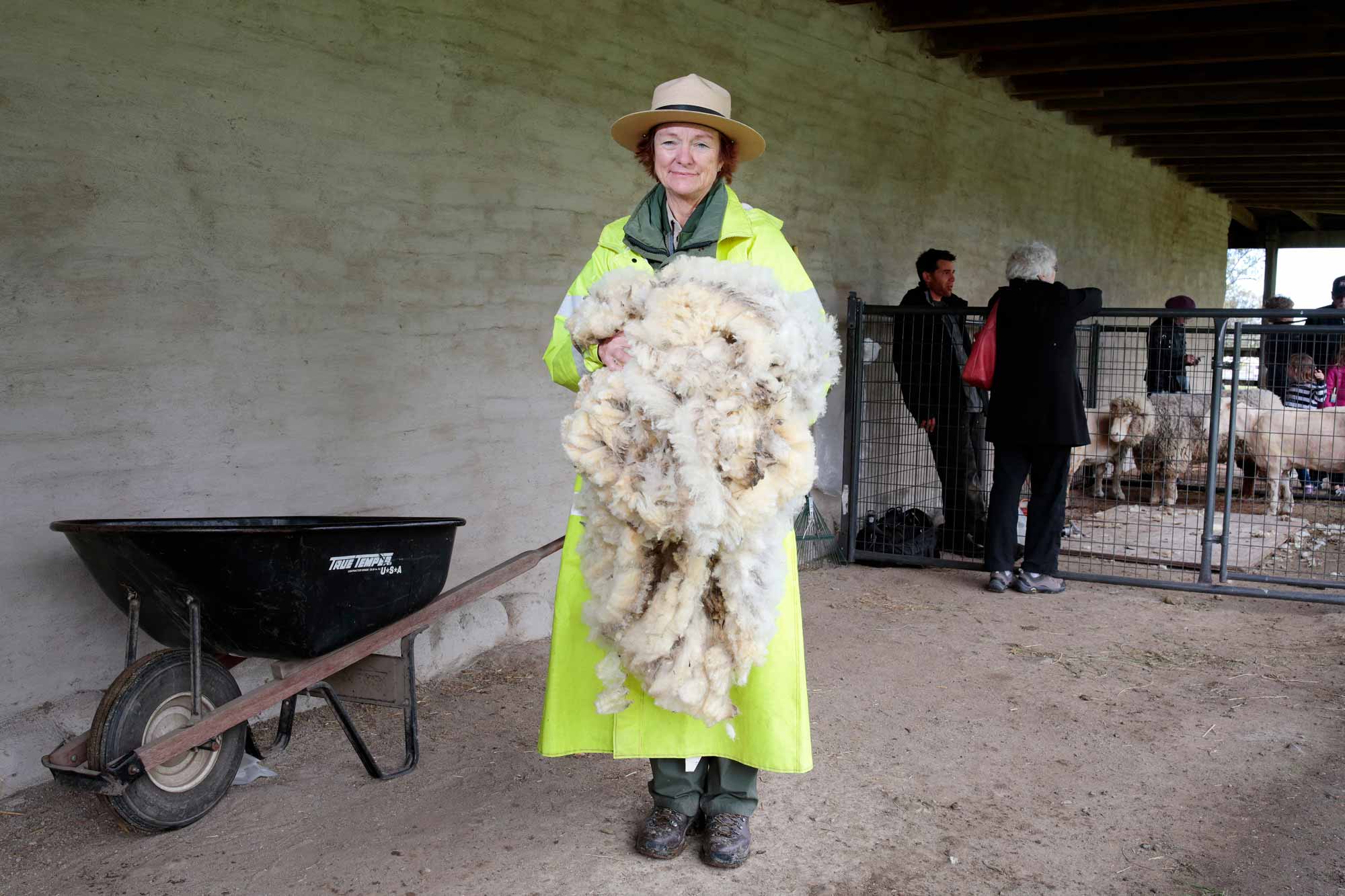photo of a woman in a yellow jacket holding sheep fur by 
Ramin Rahimian